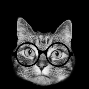 Motiv Verrückte Katzendame, cooles Hipster-Design