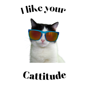 Motiv Ich mag deine Cattitude