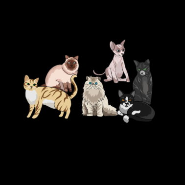 Motiv Meine Katzen Welt - Verschiedene Süße Katzenrassen