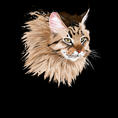 Motiv Maine coon Katze