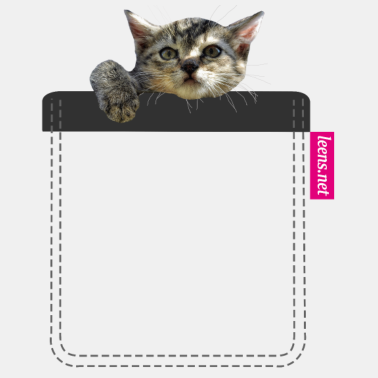 Motiv Kätzchen in Brusttasche