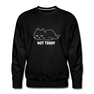 Katzen Pullover - Not Today Lustige Katze Katzen Geschenk T-Shirt