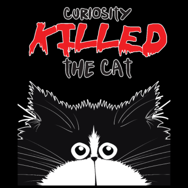 Motiv Neugierige Katze