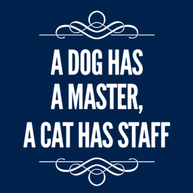 Motiv Katzen haben angestellte