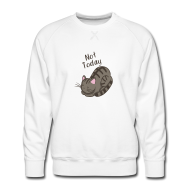 Katzen Pullover - not today lazy cat faule katze kätzchen relax faul