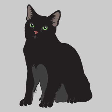 Motiv Schwarze Katze