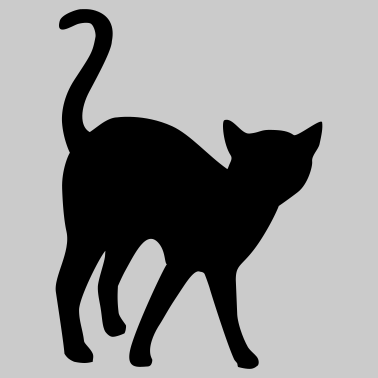 Motiv Schmusige Katze