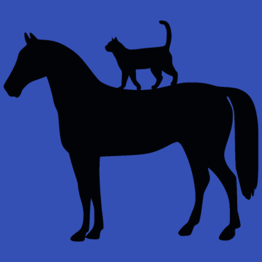 Motiv Pferd mit Katze