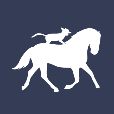 Motiv Katze reitet Pferd Jockey