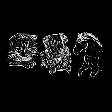 Motiv Pferd, Katze und Hund