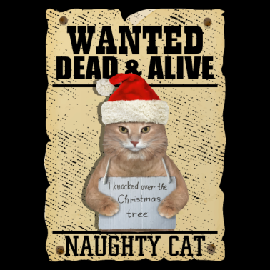 Motiv Katze gesucht Weihnachten