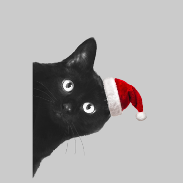 Motiv Katze- Weihnachten