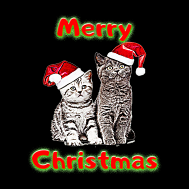 Motiv Katzenliebhaber, das beste Geschenk