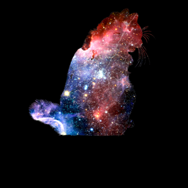 Motiv Katze Katzen Universum Sterne Galaxie
