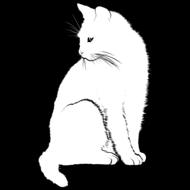 Motiv Elegante Katze, weiß