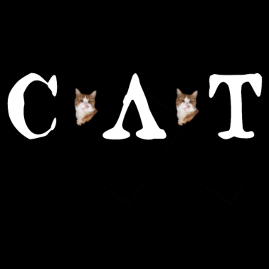 Motiv Katze, rote Katze