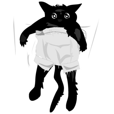 Motiv Schwarze Katze