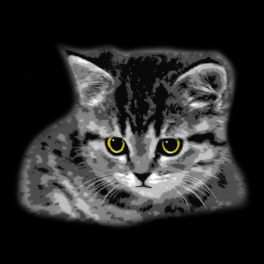 Motiv Katze - gelbe Augen