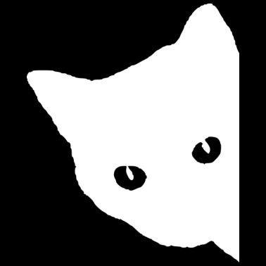 Motiv Katze Gesicht Weiß