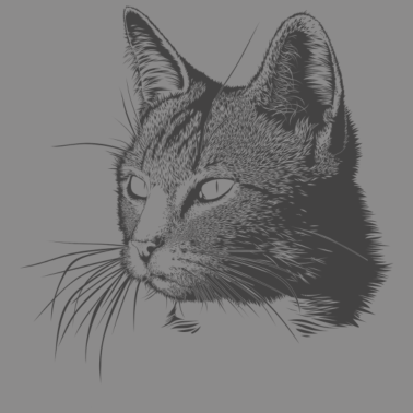 Motiv Katze - Zeichnung