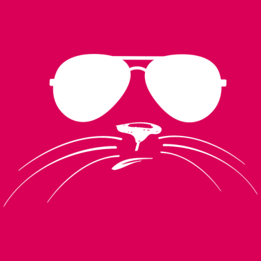 Motiv Katzen Gesicht mit Sonnenbrille