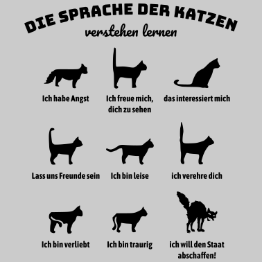 Motiv Katzen verstehen lernen