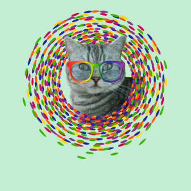 Motiv Katze süß mit Regenbogenfarben Brille