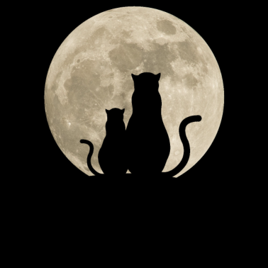 Motiv Katzen Mond Lustig Geschenk Frauen Männer Kinder