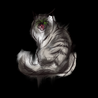 Motiv Norwegische Waldkatze