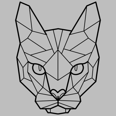 Motiv sphynx cat origami