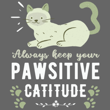 Motiv Katze, lustiger Motivationsspruch süsse Katze