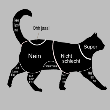 Motiv Katze Kätzchen cat streicheln Anleitung