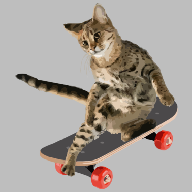 Motiv Katze Skateboards skateborden