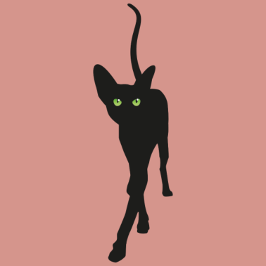 Motiv elegante schwarze katze