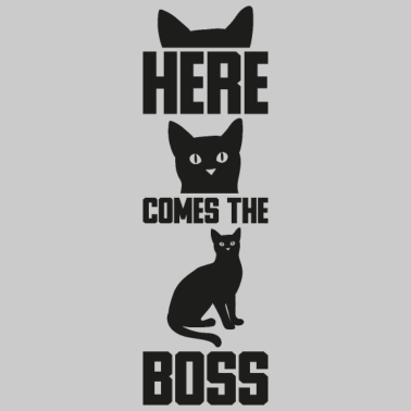 Motiv Here comes the boss Geschenk Katze Haustiere Tiere