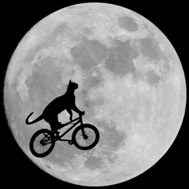 Motiv Mond Katze