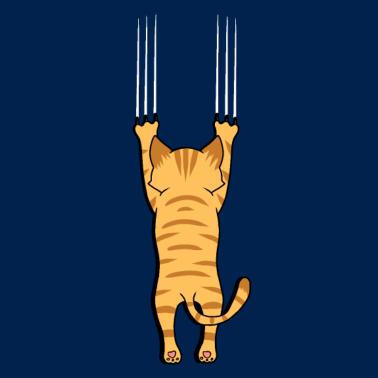 Motiv Katze Katzen lustig