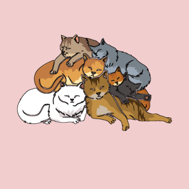 Motiv Ein Stapel süsser Katzen