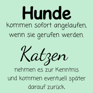 Motiv Hunde und Katzen