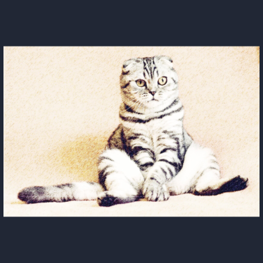 Motiv Traurige Katze