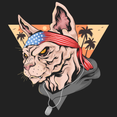 Motiv USA Katze - Amerika - Biker