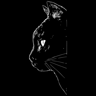 Motiv Schwarze Katze