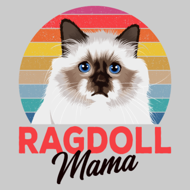 Motiv Ragdoll Katze