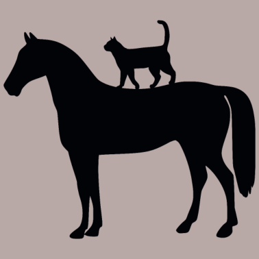 Motiv Pferd mit Katze