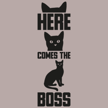 Motiv Here comes the boss Geschenk Katze Haustiere Tiere