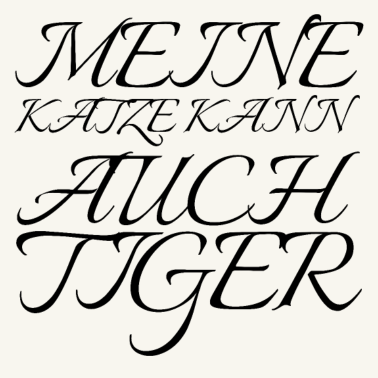 Motiv katze - meine Katze kann auch Tiger