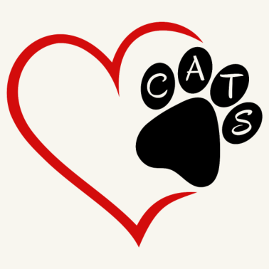 Motiv Katze Katzen Herz Pfote Haustier Tiere Cat Cats