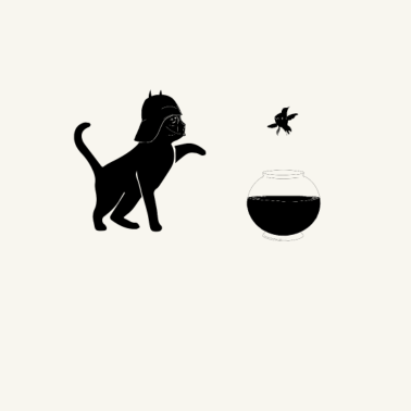 Motiv Katze nutzt die dunkle Macht