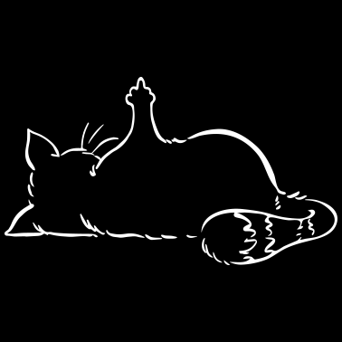 Motiv Katze Nö, Nein, Mittelfinger, nope, ohne Text