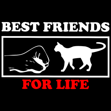 Motiv Katze Geschenk